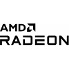 AMD Radeon 760M