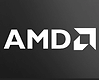 AMD 3020e