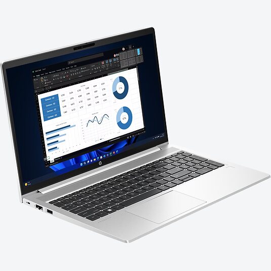 HP ProBook 455 15 G10 (8A5X0EA)