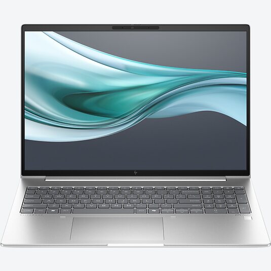 HP EliteBook 660 G11 (D4GH0EA)