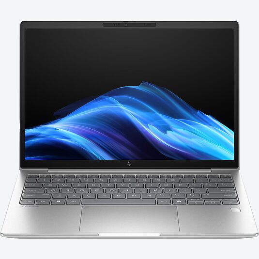 HP EliteBook 6 G1i 13 (D74V8EA)