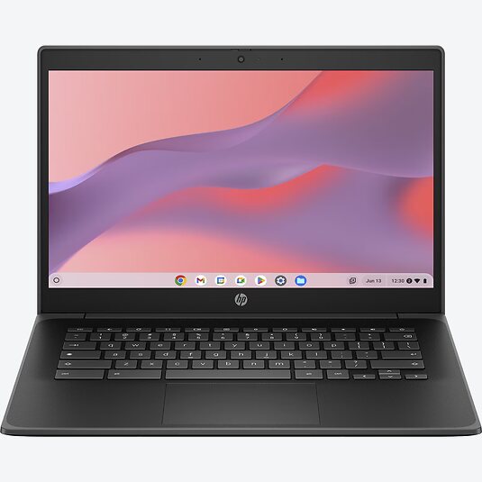 HP Fortis G1i 14" (DD7U8EA)