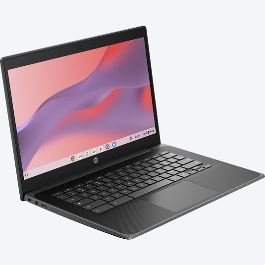 HP Fortis G1i 14" (DD7U9EA)