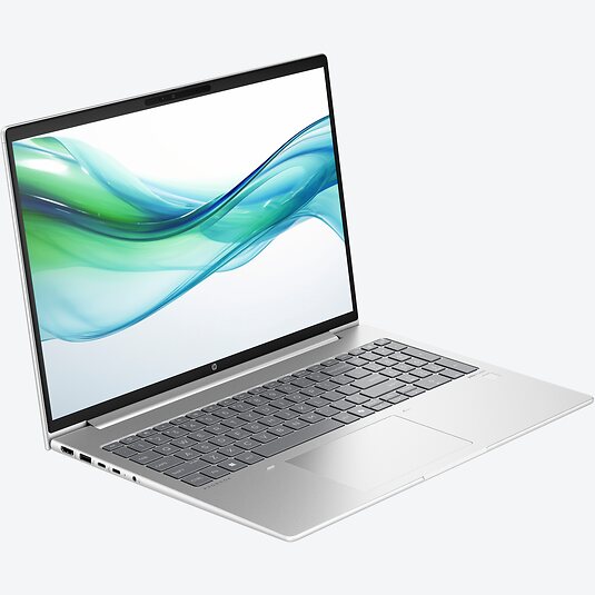 HP ProBook 460 G11 (A23FJEA)